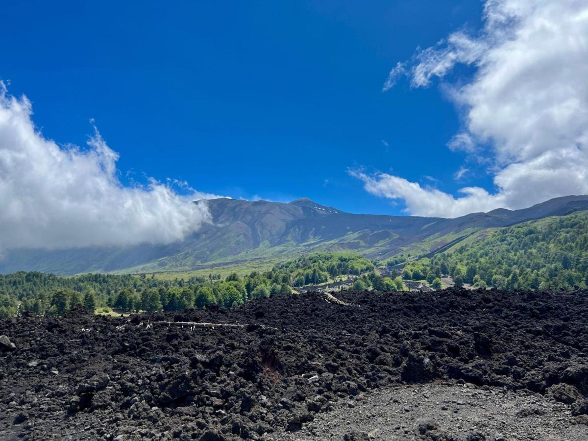 Etna City Home Accogliente Nel Cuore Di كاتانيا المظهر الخارجي الصورة