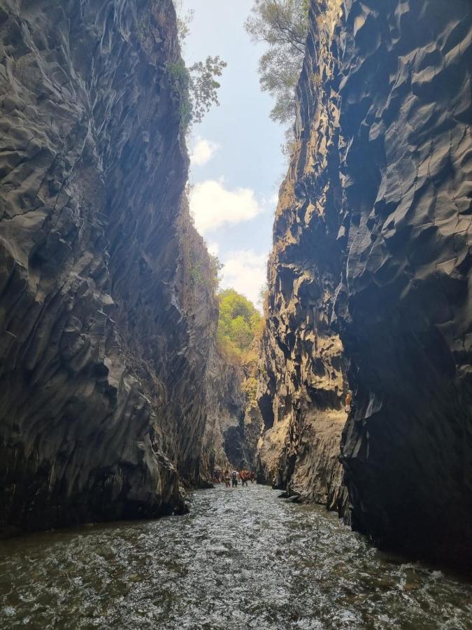 Etna City Home Accogliente Nel Cuore Di كاتانيا المظهر الخارجي الصورة